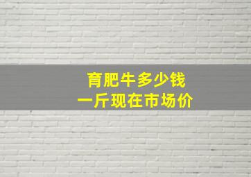 育肥牛多少钱一斤现在市场价