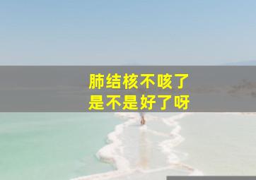 肺结核不咳了是不是好了呀