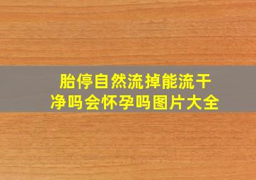 胎停自然流掉能流干净吗会怀孕吗图片大全