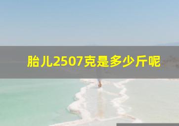 胎儿2507克是多少斤呢