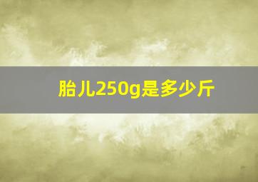 胎儿250g是多少斤