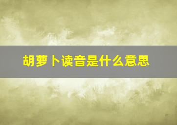 胡萝卜读音是什么意思