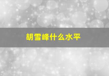 胡雪峰什么水平