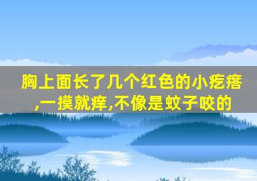 胸上面长了几个红色的小疙瘩,一摸就痒,不像是蚊子咬的