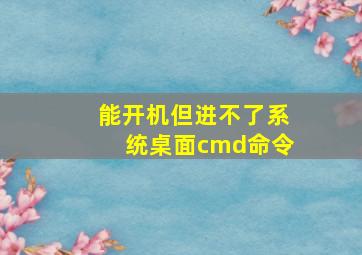 能开机但进不了系统桌面cmd命令