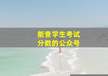 能查学生考试分数的公众号