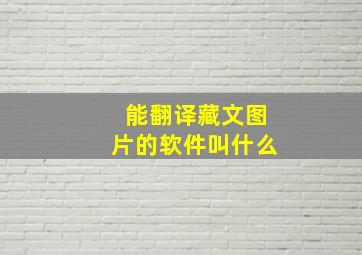 能翻译藏文图片的软件叫什么