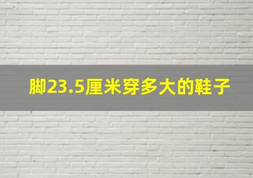 脚23.5厘米穿多大的鞋子