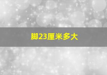 脚23厘米多大