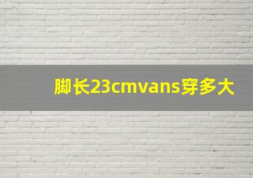 脚长23cmvans穿多大