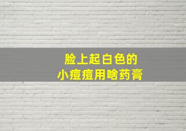 脸上起白色的小痘痘用啥药膏