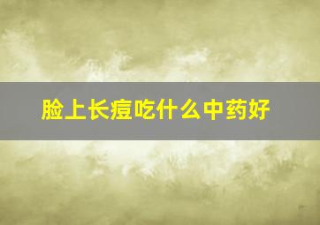 脸上长痘吃什么中药好