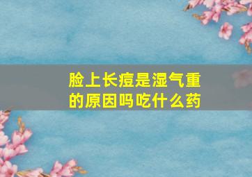 脸上长痘是湿气重的原因吗吃什么药