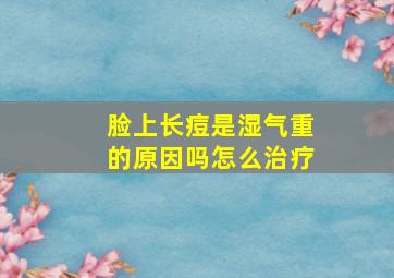 脸上长痘是湿气重的原因吗怎么治疗