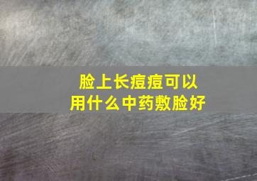 脸上长痘痘可以用什么中药敷脸好