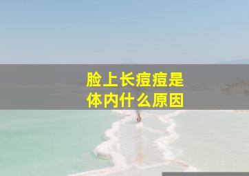 脸上长痘痘是体内什么原因