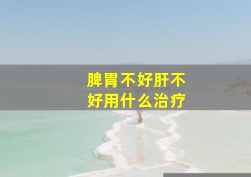 脾胃不好肝不好用什么治疗