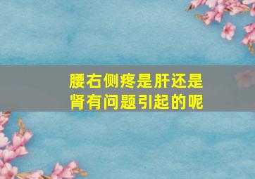 腰右侧疼是肝还是肾有问题引起的呢