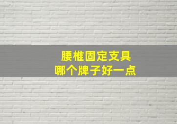 腰椎固定支具哪个牌子好一点