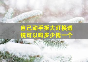 自己动手拆大灯换透镜可以吗多少钱一个