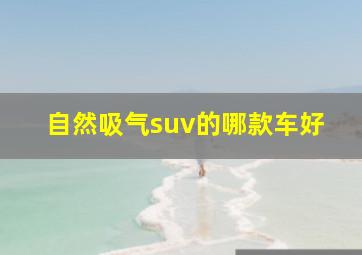 自然吸气suv的哪款车好