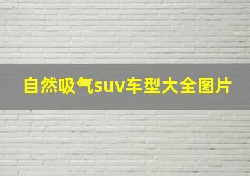 自然吸气suv车型大全图片