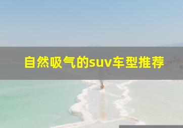 自然吸气的suv车型推荐