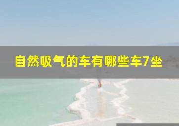 自然吸气的车有哪些车7坐