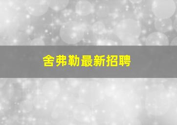 舍弗勒最新招聘