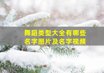 舞蹈类型大全有哪些名字图片及名字视频