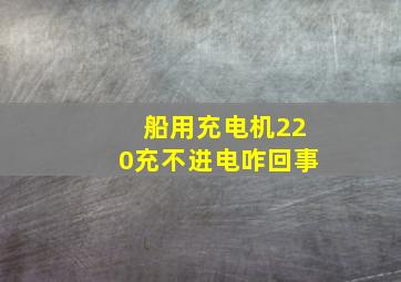 船用充电机220充不进电咋回事