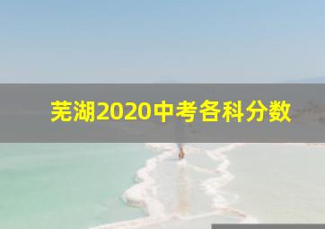 芜湖2020中考各科分数