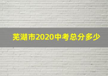 芜湖市2020中考总分多少