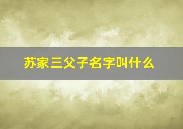 苏家三父子名字叫什么