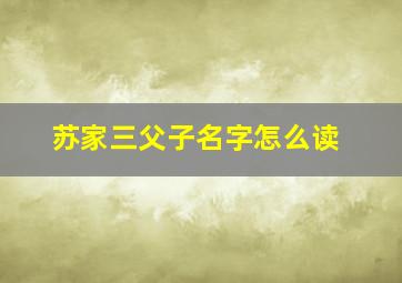 苏家三父子名字怎么读