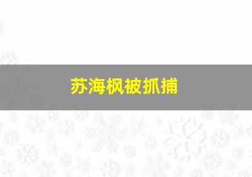 苏海枫被抓捕