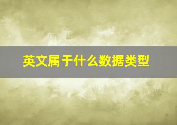 英文属于什么数据类型