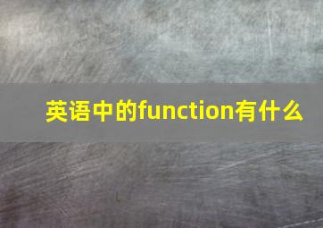 英语中的function有什么