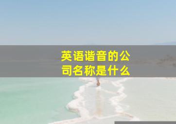 英语谐音的公司名称是什么