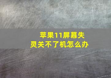 苹果11屏幕失灵关不了机怎么办