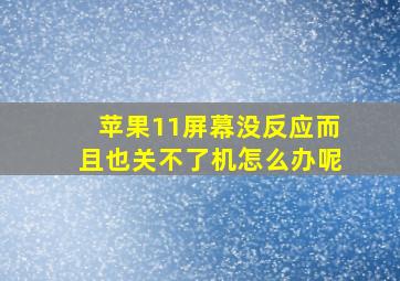 苹果11屏幕没反应而且也关不了机怎么办呢