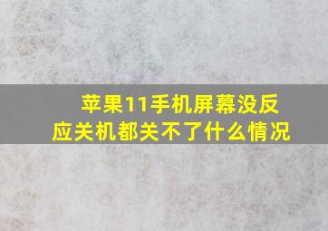 苹果11手机屏幕没反应关机都关不了什么情况