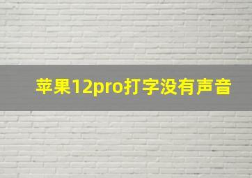 苹果12pro打字没有声音