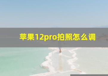 苹果12pro拍照怎么调