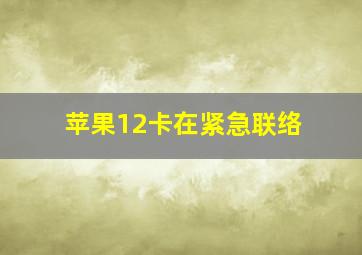 苹果12卡在紧急联络