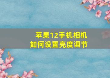 苹果12手机相机如何设置亮度调节