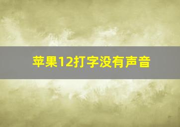 苹果12打字没有声音