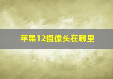 苹果12摄像头在哪里