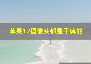 苹果12摄像头都是干嘛的