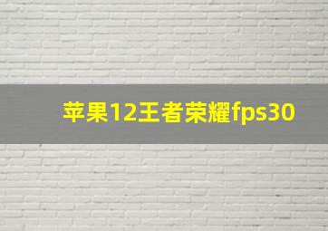 苹果12王者荣耀fps30